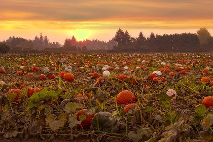 Seasonal Airbnb Cleaning: Preparing Your Property for Peak Seasons